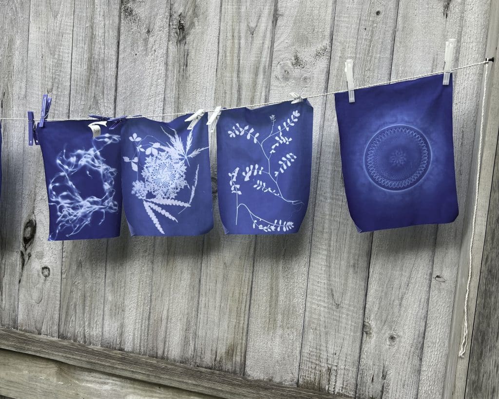 Photo of a row of hanging blue and white cyanotype prints, featuring botanical images.